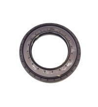 Sealing ring 17264219